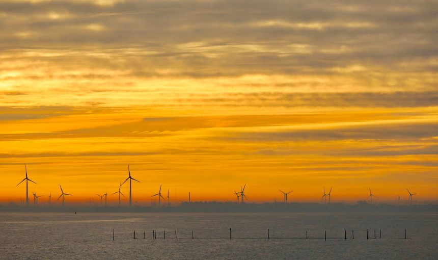 Wat te zien in Flevoland