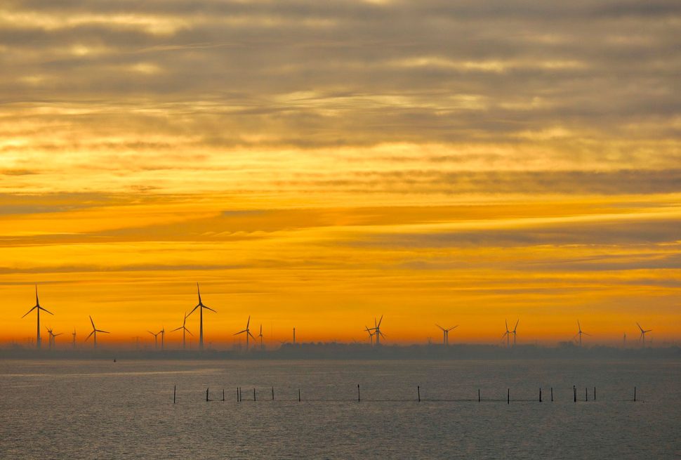 Wat te zien in Flevoland