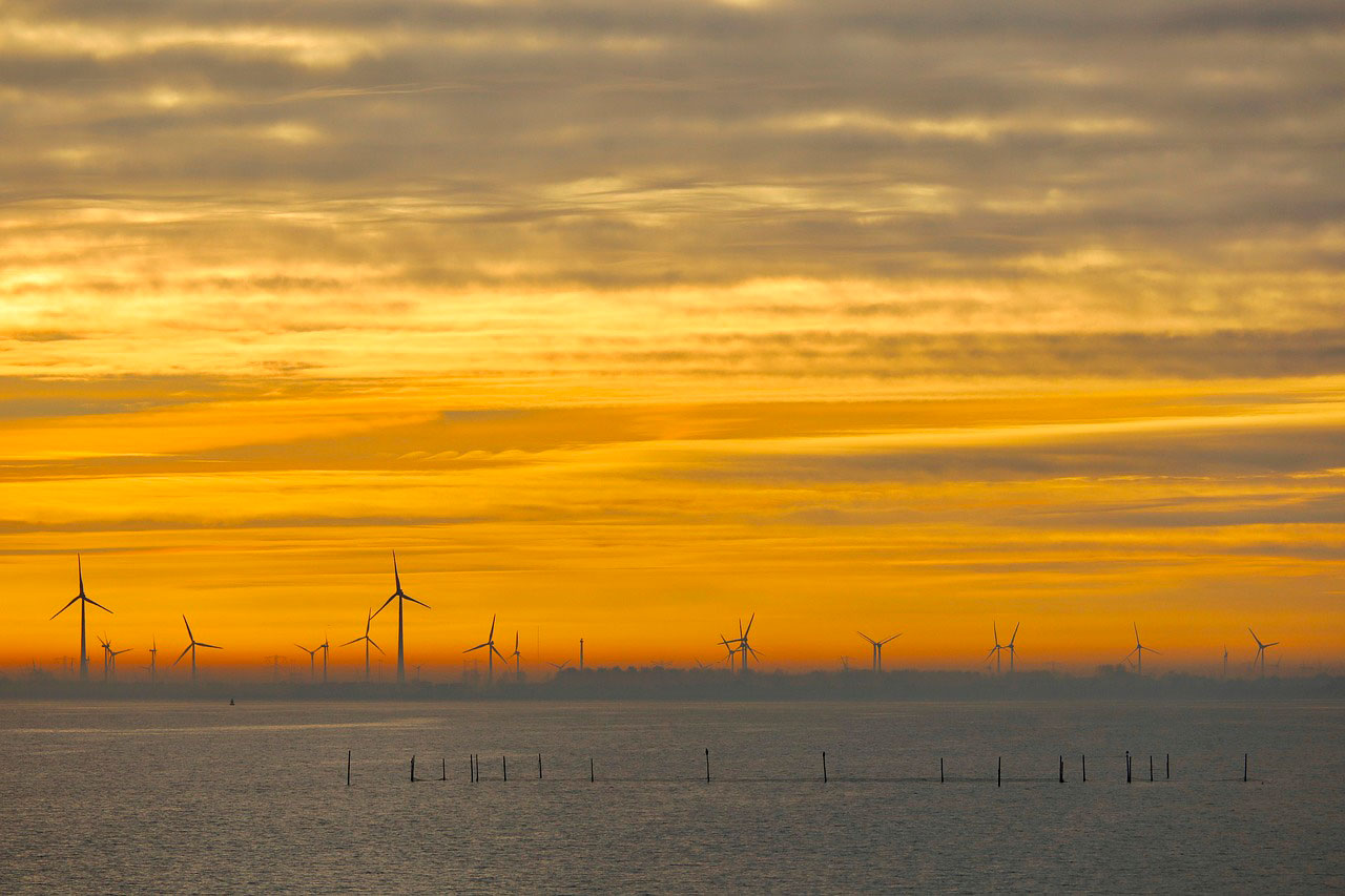 Wat te zien in Flevoland
